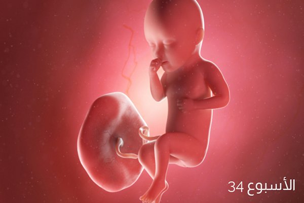 صور للجنين في الأسبوع الرابع والثلاثين من الحمل