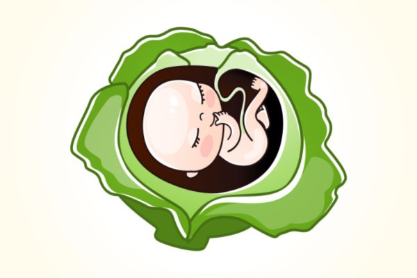 مراحل تطور الجنين في الشهر التاسع