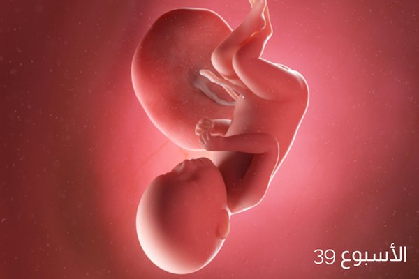 صور الجنين في الأسبوع التاسع والثلاثين من الحمل