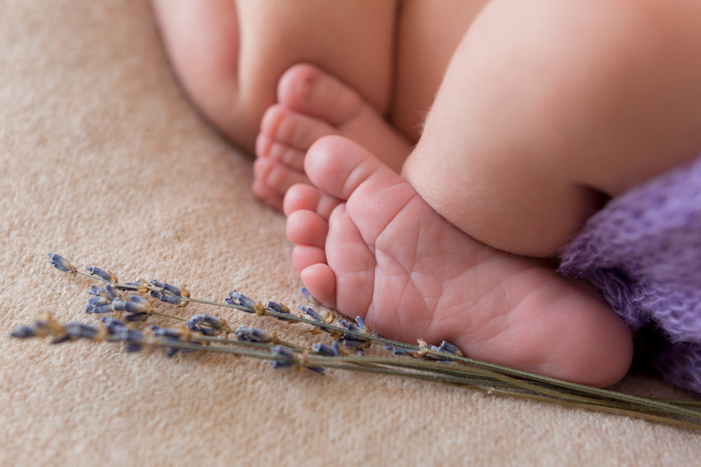 6 Issues can be solved with herbs to soothe babies