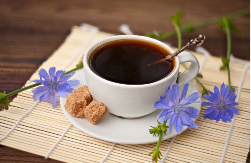 قهوة الهندباء: هل تعتبر بديل صحي للقهوة؟