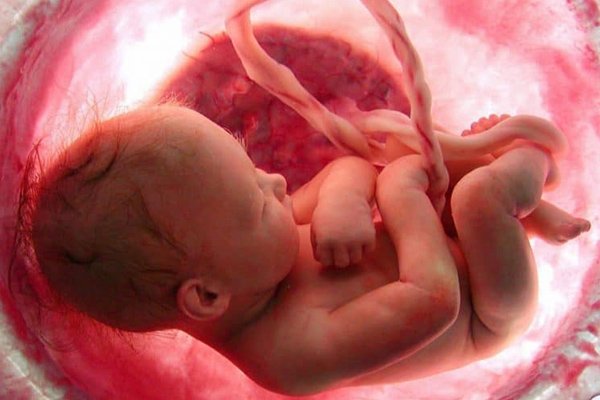صور مراحل تطور الجنين في الشهر الرابع