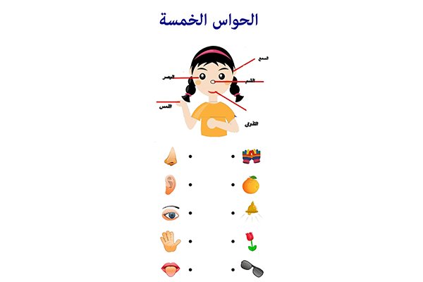 نشاط توصيل الحواس للأطفال