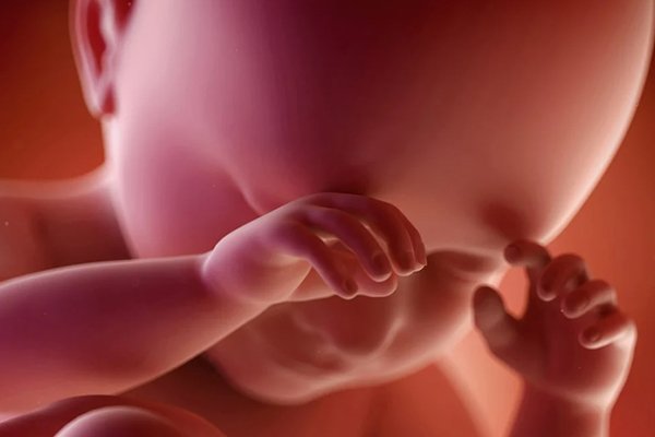 مراحل تطور الجنين بالتفصيل والصور،تطور الجنين اسبوعيا