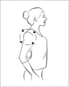 a painting showing how to practice the Shoulder Rotation stretch 