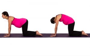 a pregnant women practicing Cow to Cat Pose stretch