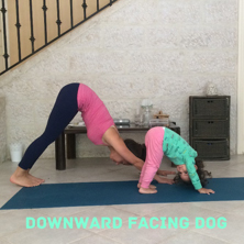 Downward Facing Dog yoga position 